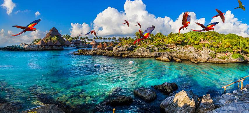Tour  Xcaret plus
