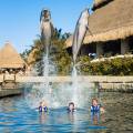 Tour  Xcaret plus