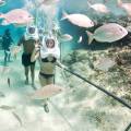 Tour  Xcaret plus