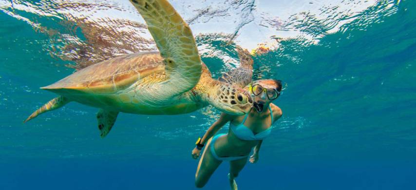 Private Tour Tulum, Cenote y Akumal