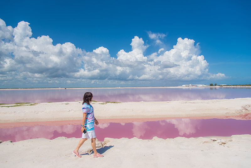 包團 - 中文粉紅湖一日遊 