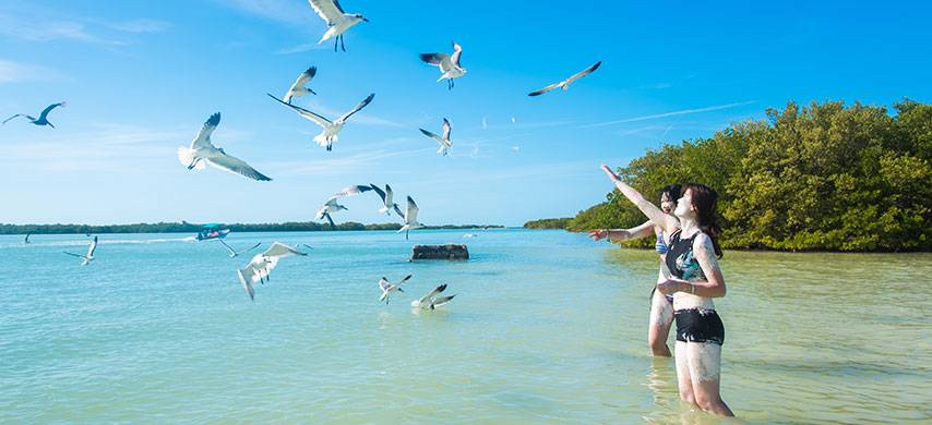 包團 - 中文粉紅湖一日遊 