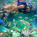 Tour Xel Ha
