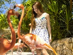 Xcaret plus